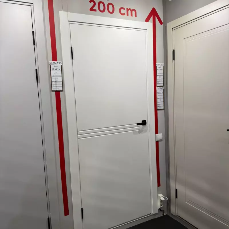 Durvis SPARTA Krāsotas durvis