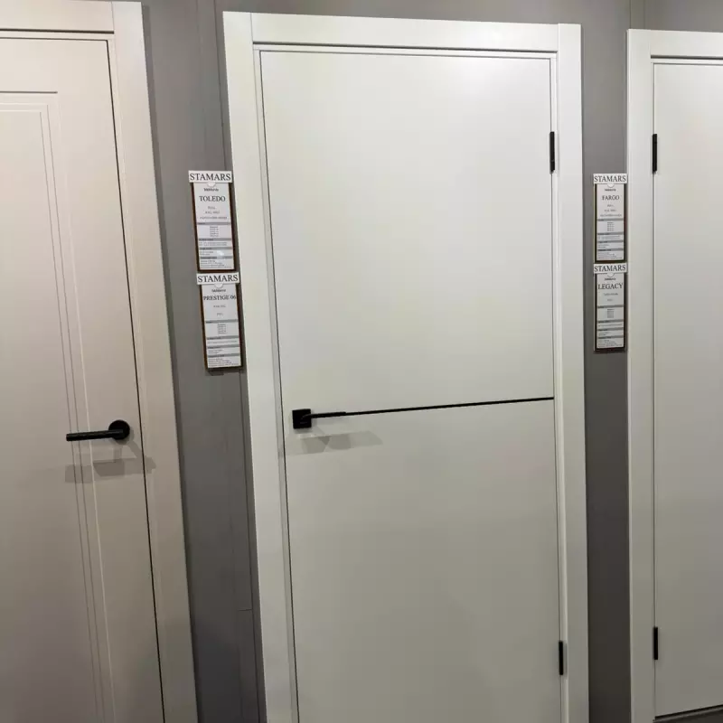 Durvis TOLLEDO Krāsotas durvis